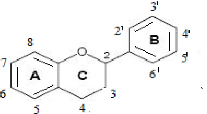 Şekil 1.2. Flavonoid iskeleti 