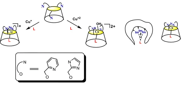 Şekil 1.29. Piridin ve imidazol grubu taşıyan kaliks[6]arenin Cu +  ve Cu +2  kompleksleri 