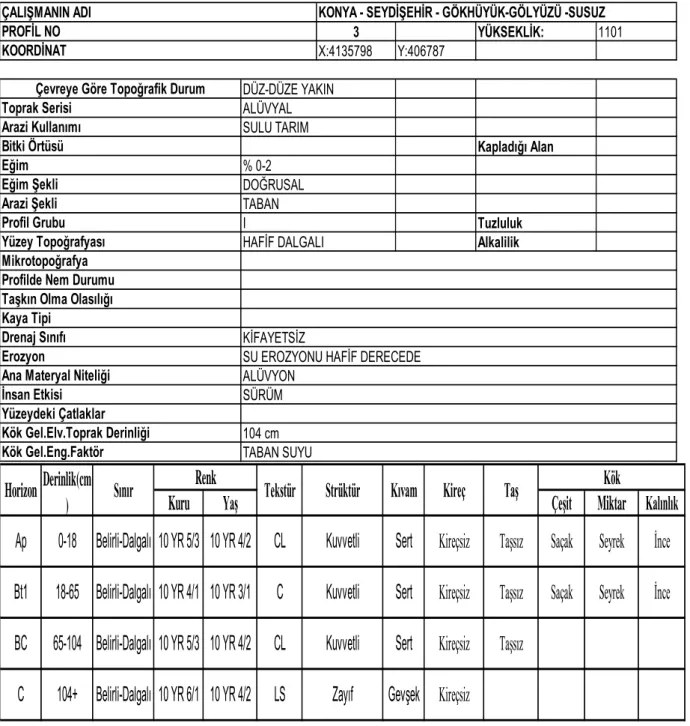Tablo 4.2.5. P3 horizonuna ait profil tanımlama cetveli  