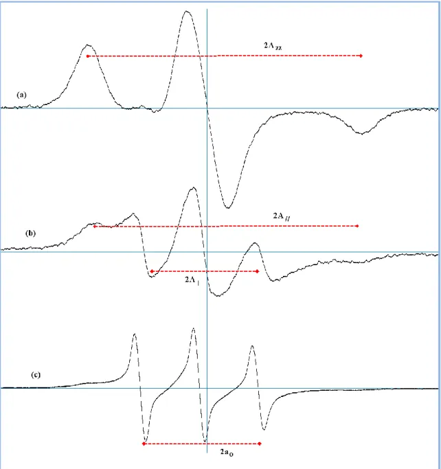 Şekil 4.3. Hareket serbestliğinin farklı durumlarında TEMPO spin etiketli yapının ESR spektrumları  (a) Hareket  serbestliğinin  az  olduğu  anizotropik  durum  (b)  Orta  hareket  serbestliğindeki 