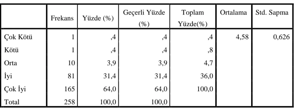 Tablo 16. Türkiye Đmajının Değerlendirilmesi 