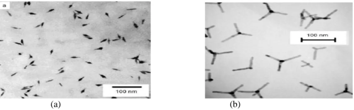 Şekil 1.10. a) Alivizatos (2000) ve b) peng (2003) tarafından sentezlenen bazı CdSe kristallerinin TEM  görüntüleri  