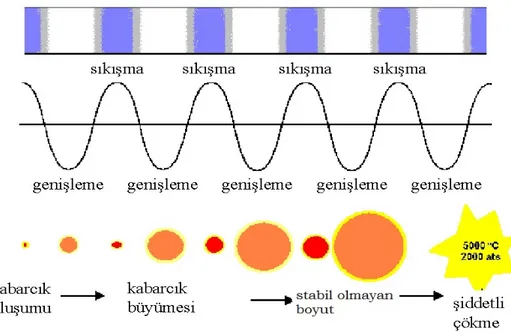 Şekil 2.3. Ultrasonik ses dalgalarının hücredeki zarar mekanizması
