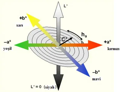 Şekil 3.2. CIE L*, a*, b*, Hue ve Chroma renk koordinat sistemi (Anonymous, 2011)