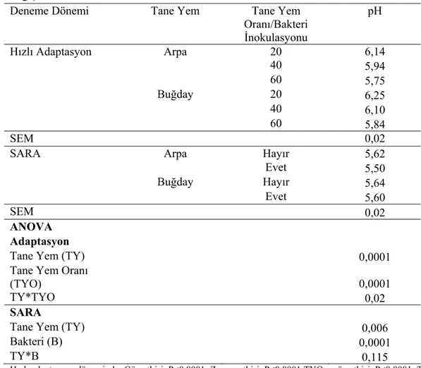 Çizelge 3.2. Hızlı Adaptasyon ve SARA dönemlerinde rumen sıvısı pH’sındaki  değişimler  