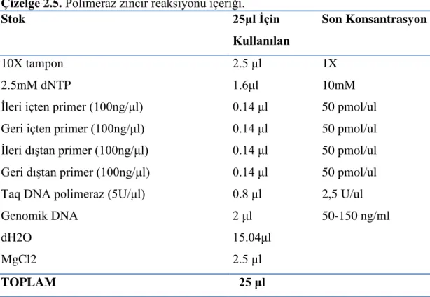 Çizelge 2.6. ARMS-PZR koşulları. 