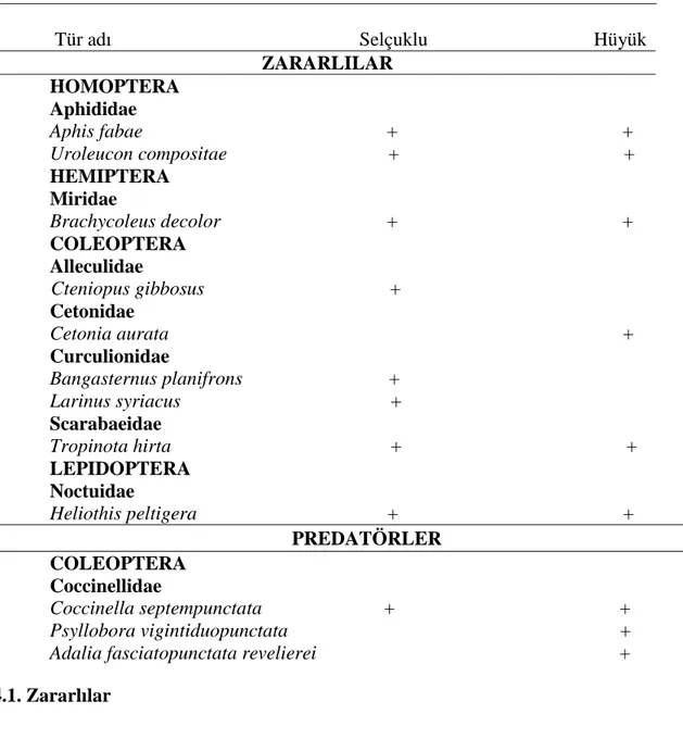 Çizelge  1.  Konya  İli  Selçuklu  ve  Hüyük  ilçelerinde  aspir  tarlalarında  bulunan  zararlı böcek türleri, predatörleri  ve bulunduğu yerler