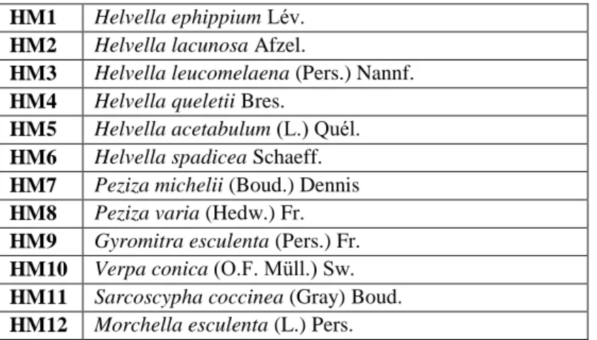 Çizelge 3.1 Çalışmada kullanılan mantar türleri  HM1  Helvella ephippium Lév. 