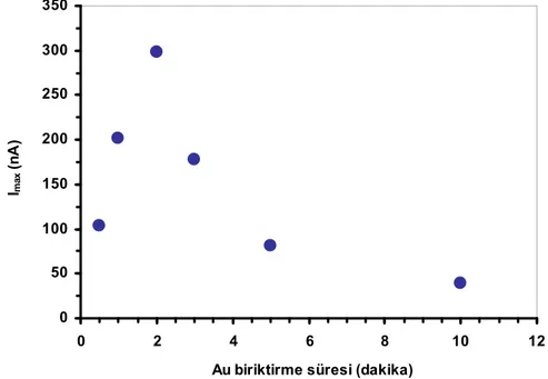 Şekil 8.20. PVF-Au-XO biyosensörüne KAuCl 4  çözeltisinde bekletme süresinin etkisi (5,0 mg  PVF mL -1 , 2,0 mM KAuCl 4 , 2,0 mg XO mL -1 , 0,10 M pH 7,4 fosfat tamponu, 25 °C, 0,40 V) 