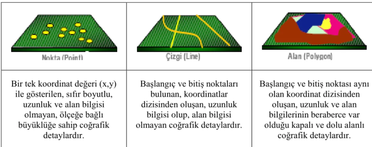 ġekil 2.1 Coğrafik veri elementleri  (Yomralıoğlu 2000)