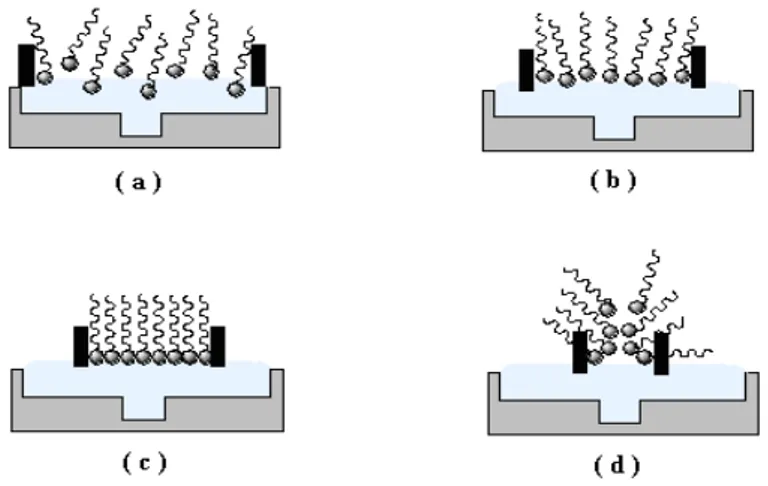 Şekil 2.2. Moleküllerin su yüzeyindeki davranışları  (a) gaz fazı - (b) sıvı faz - (c) katı faz - (d) dağılma 