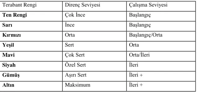 Çizelge 1.2.Terabant renk, direnç seviyesi ve çalışma seviyeleri 