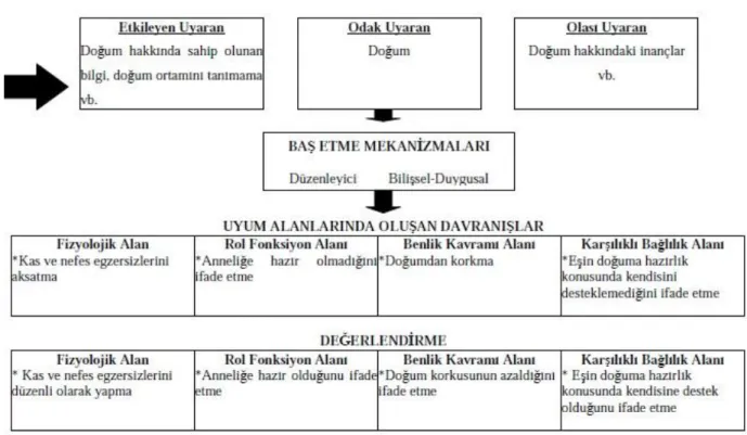 Şekil 2.3. Roy’un Uyum Modelinin Gebe Eğitiminde Kullanımı 