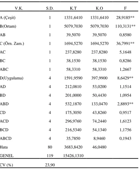 Çizelge 4.2. Altay 2000 ve Kıraç 66 çeşitlerinde kurak ve normal ortamda farklı örnekleme zamanları ve  priming uygulamalarından tespit edilen yaş ağırlık değerlerinin varyans analiz tablosu  