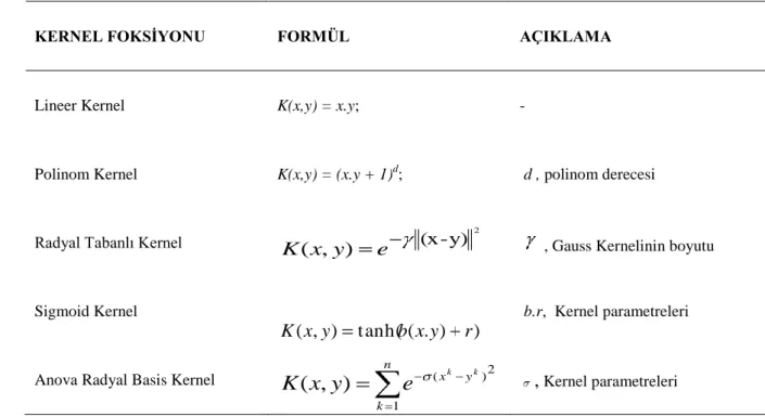 Çizelge 4.2 SVM Kernel Fonksiyonları 