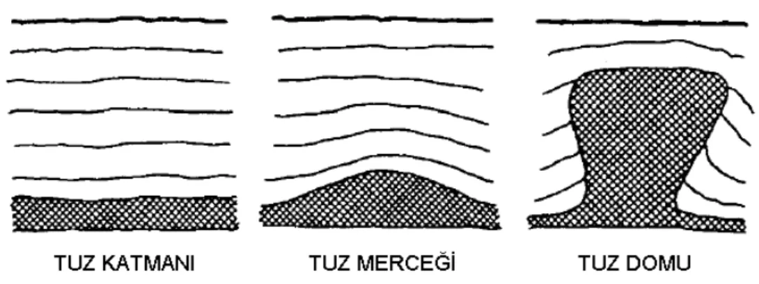 Şekil 2.2. Tuz formasyonlarının üç ayrı şeklinin şematik gösterimi ve üst katmanların  durumları (Van den Broek, 1989) 