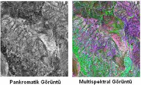 Şekil 2.10 Tayfsal çözümleme  
