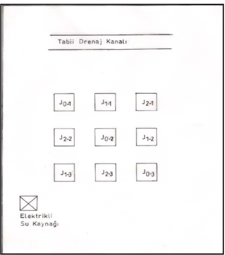 Şekil 3.2.Deneme deseni planı. 