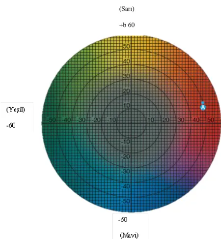 Şekil 1.7. L*a*b renk aralığının üç boyutlu görüntüsü (Minolta 2007) 