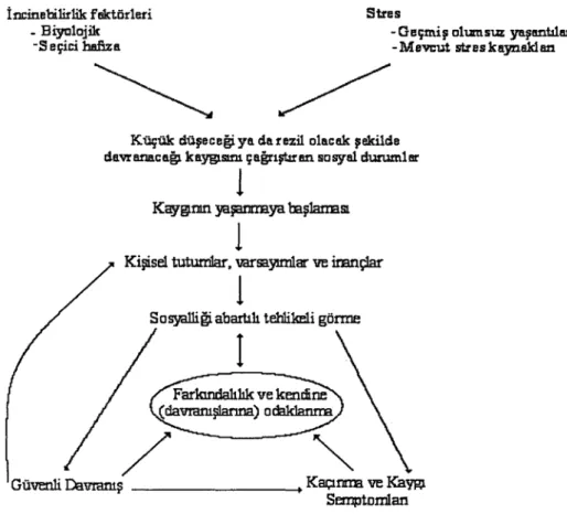 Şekil 3: Sosyal Kaygının Nedenselliği  Kaynak: Palancı, 2004: 21 