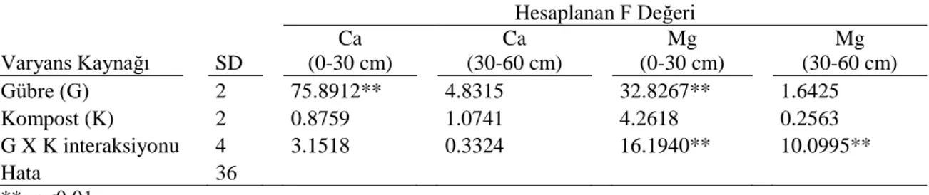 Çizelge  4.5.  Toprağa  Artan  Miktarlarda  Uygulanan  Kimyasal  Gübre  ve  Kompostun  Toprağın  Farklı  Derinliklerdeki  Kalsiyum  ve  Magnezyum  Miktarına  Etkisi ile İlgili ait Varyans Analizi Sonuçları 