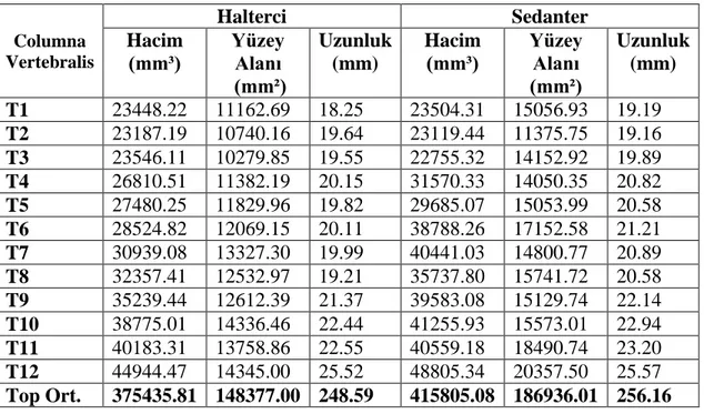 Çizelge 3.4. Elit haltercilerden ve sedanterlerden elde edilen 3B vertebra lumbalis’in  hacim, yüzey alanı ve uzunluk ortalamaları 