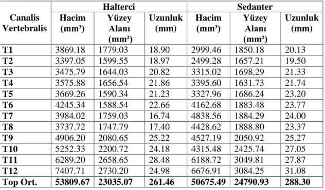 Çizelge 3.11. Elit haltercilerden ve sedanterlerden elde edilen 3B Canalis lumbalis’in  hacim, yüzey alanı ve uzunluk ortalamaları 