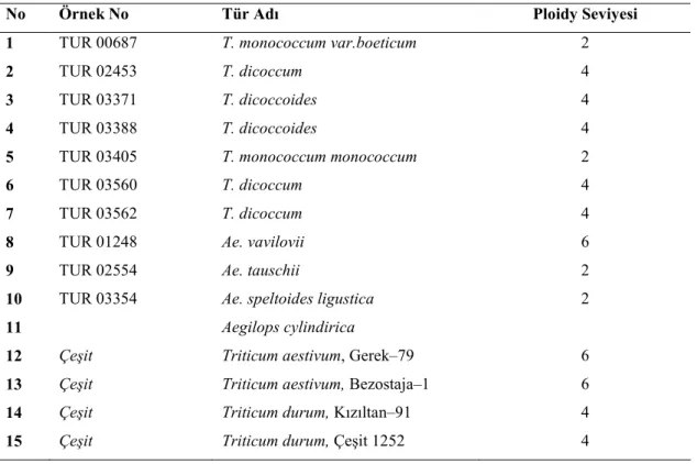 Çizelge 3.2. Denemede kullanılan buğday çeşitleri ve yabani genotipler 