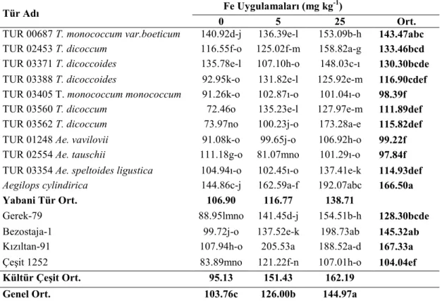 Çizelge 4.5. Yabani ve kültür buğdaylarında farklı Fe uygulamalarında tespit edilen  fide Fe konsantrasyonları (mg kg -1 ) 