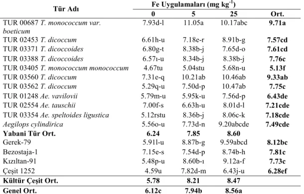 Çizelge 4.9. Yabani ve kültür buğdaylarında farklı Fe uygulamalarında tespit edilen  fide Cu konsantrasyonları (mg kg -1 ) 