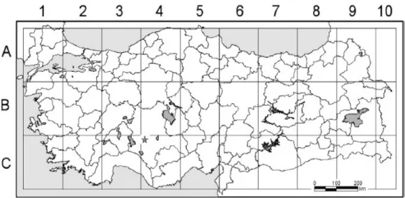 Şekil 2.2, Centaurea lycaonica türünün Ülkemizde dağılımı