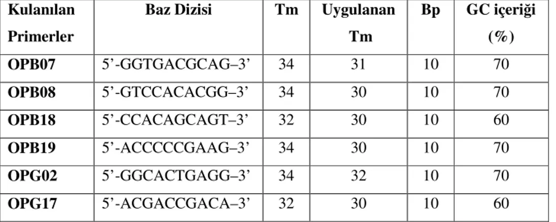 Tablo 3.3, Kullanılan Primerler ve özellikleri 