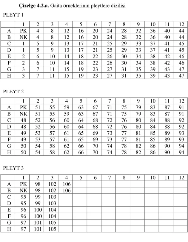 Çizelge 4.2.a. Gaita örneklerinin pleytlere dizilişi  PLEYT 1  1  2  3  4  5  6  7  8  9  10  11  12  A  PK  4  8  12  16  20  24  28  32  36  40  44  B  NK  4  8  12  16  20  24  28  32  36  40  44  C  1  5  9  13  17  21  25  29  33  37  41  45  D  1  5 