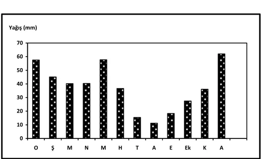 ġekil 5. Çubuk‟ta Yıllık Ortalama YağıĢın Aylara Dağılımı (1975-2005).