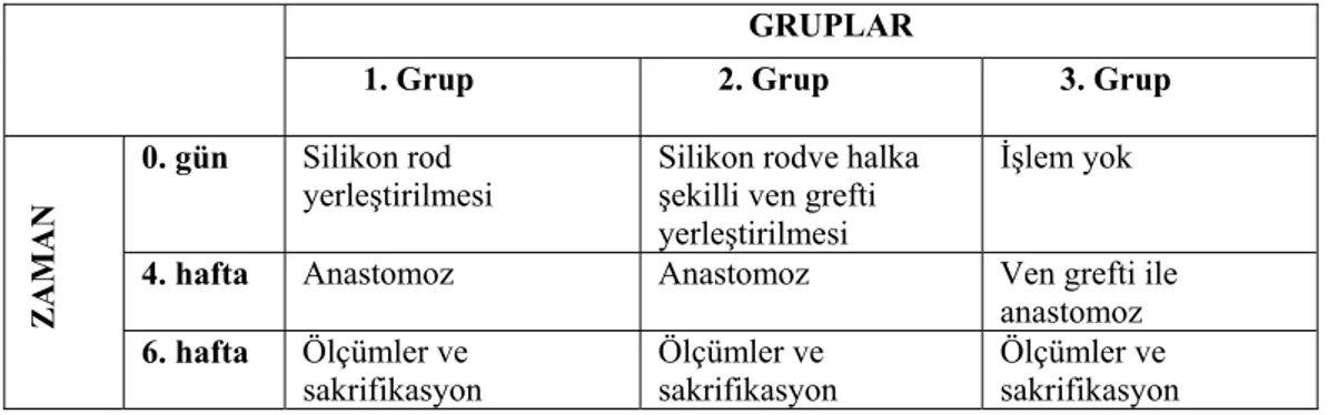 Tablo 1: Çalışmanın aşamaları 