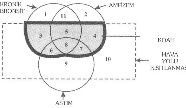 Şekil 1: kronik bronşit, amfizem ve astım hastalarına ait alt grupları gösteren oransız  Venn şeması(2)