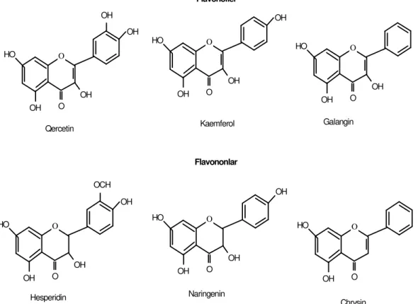 Şekil 1.3. Önemli bazı flavonoidlerin kimyasal yapıları (Buratti ve ark 2007). 