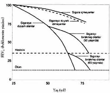 Şekil 1. FEV1, yaş ve sigara ilişkisi.