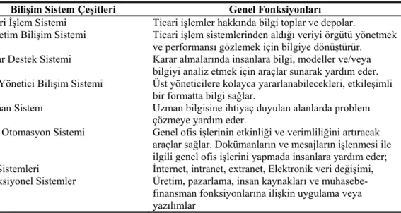 Tablo 1.6. Bilişim Teknolojileri Kapsamındaki Bilişim Sistemleri 