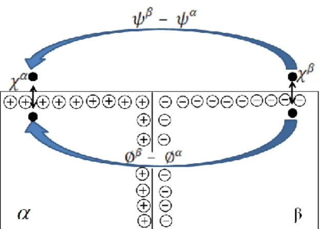 Şekil  1.  3  Temas  halinde  bulunan  iki  faz  arasındaki  Yüzey  potansiyeli,  Dış  potansiyel (Volta potansiyeli) ve Galvani potansiyel farkları (Girault 2004) 