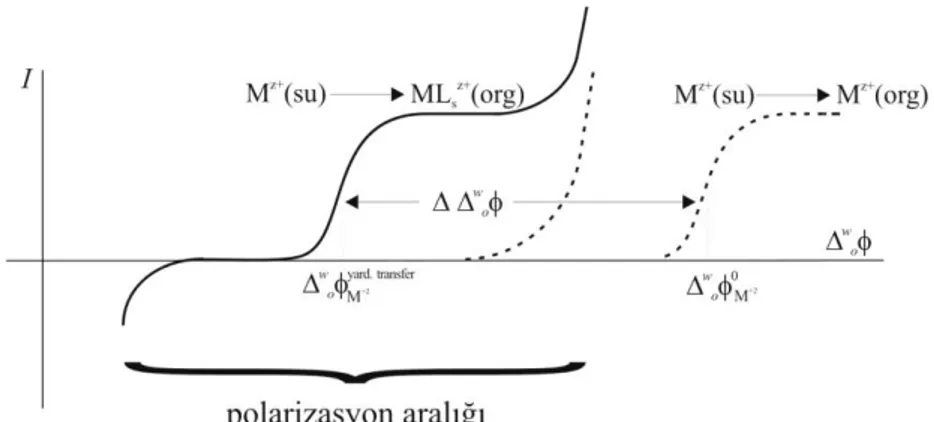 Şekil  1.  12  Metal  iyonunun  Galvani  transfer  potansiyeline  iyonofor  veya  ligandın etkisi (Tomaszewski 2000)