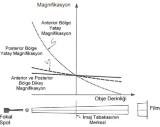 Şekil 1.19. Obje derinliğine bağlı olarak yatay ve dikey büyüme katsayısının  değişimi (Langland ve ark 1989)