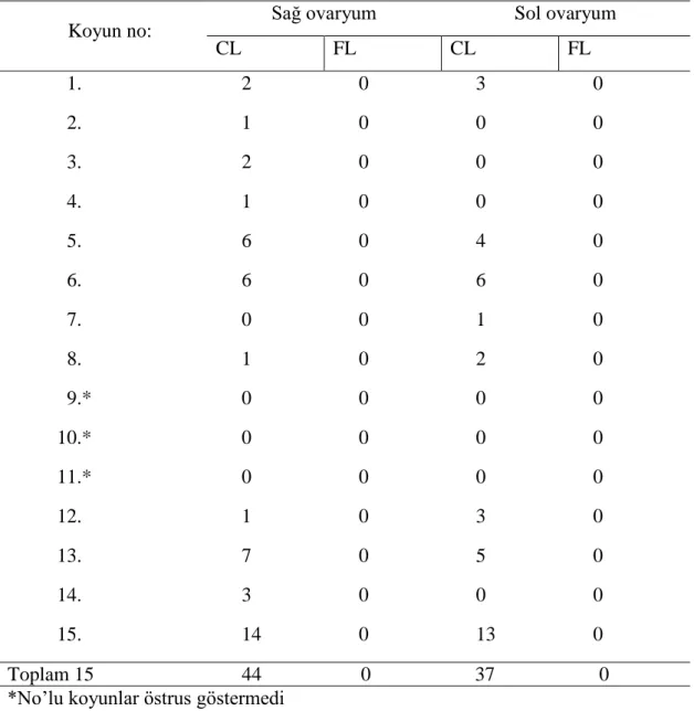 Tablo 3.2.  Bireysel ovaryum reaksiyonları. 