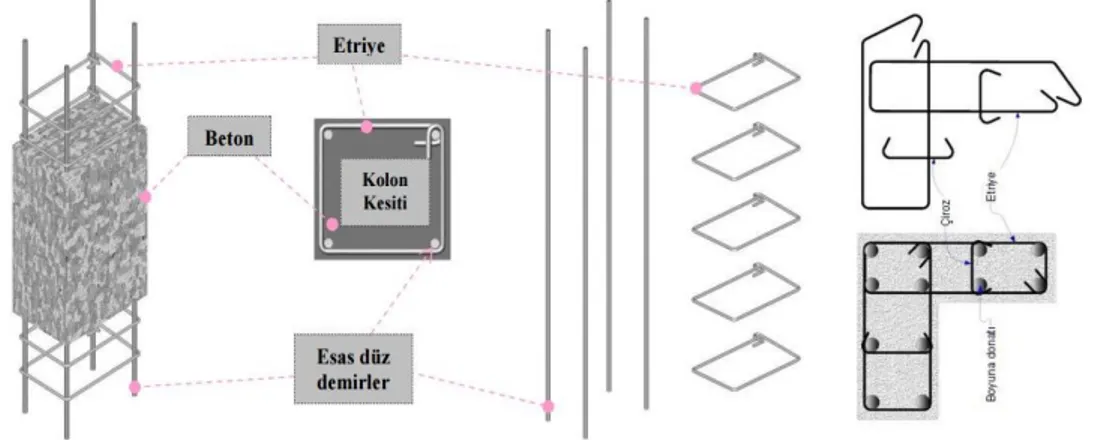 Şekil 2.12. Kolon ve donatı şeması (Web11) 