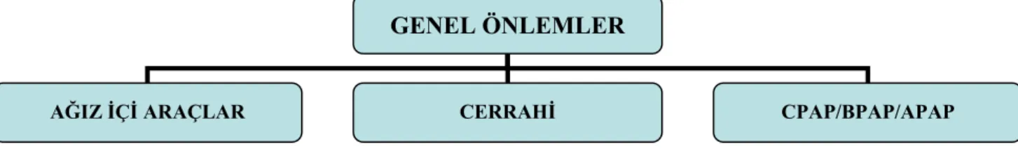 Şekil 2.9 OUAS Tedavi Seçenekleri 