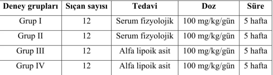 Tablo 2.1. Deney grupları 