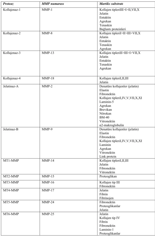 Çizelge 1.2. Matriks metalloproteinazlar, matriks substratları, biyoaktif substratı ve aktivitesi