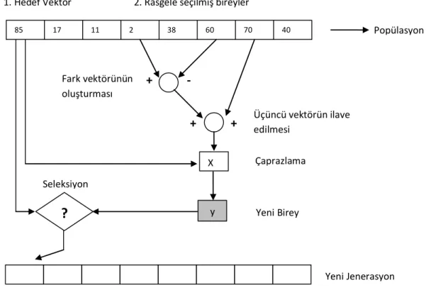 ġekil  6.1   Diferansiyel Evrim Algoritması ġeması 