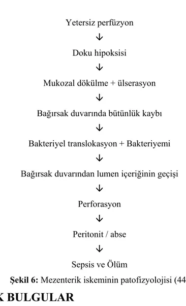 Şekil 6: Mezenterik iskeminin patofizyolojisi (44) 