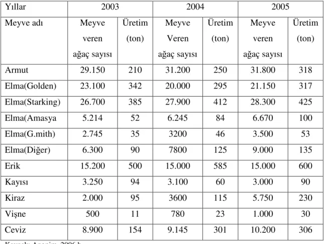 Çizelge 4.6. İlçede başlıca meyvelerin ağaç sayısı ve üretim durumu 